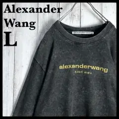 【美品・即完売モデル】アレキサンダーワン☆刺繍ロゴ入り長袖Tシャツ ロンT