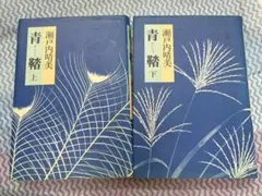 瀬戸内晴美　青踏　上・下巻セット 中古本