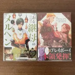 「ある継母のメルヘン 8」「この結婚はどうせうまくいかない 2」　2冊セット