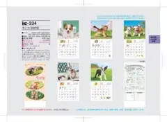 Item thumbnail for item 9a035c84-302f-4615-bc22-321ea68bea6d