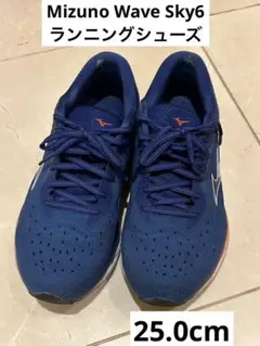 Mizuno ウェーブスカイ6　Wave Sky6 25.0cm