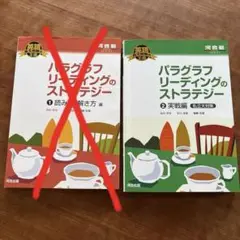 パラグラフリーディングのストラテジー 1