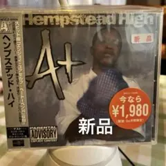 新品　A+/ヘンプステッド・ハイ