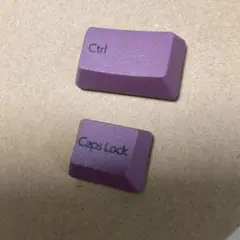 Realforce R3 日本語配列　ダークモーブ　controlキーとcaps