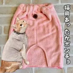 Item thumbnail for item 188b13d2-a1e7-4d37-848a-302c7901abd8