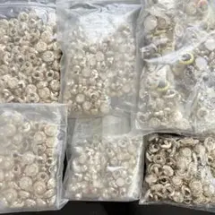 Item thumbnail for item a9b16e0e-3108-40c9-8173-c6293071c1ce