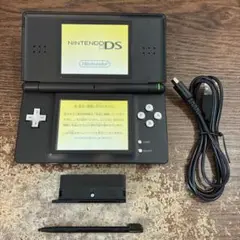 ☆充電器付き☆Nintendo ニンテンドーDS Lite ブラックカスタム