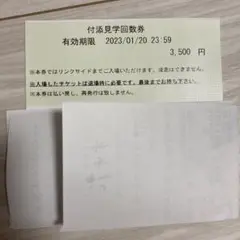 明治神宮外苑アイススケート場 付添見学券 スケート フィギュアスケート 付添見学