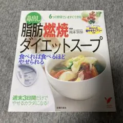 毒出し 脂肪燃焼ダイエットスープ 食べれば食べるほどやせられる