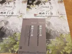 〜10/13 埼玉県立近代美術館 招待券 2名分