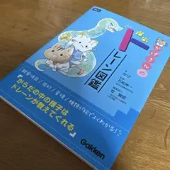 かげさんのドレーン図鑑