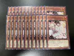 遊戯王　灰流うらら　ノーマル　24枚