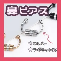 Item thumbnail for item fe56ced8-cb24-453e-8a03-ddb1d39c670f