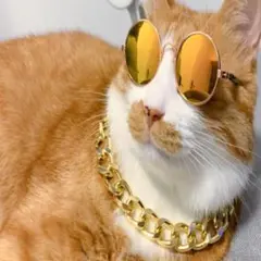 Item thumbnail for item b6221e2d-7179-4960-8260-adb0c496aed4