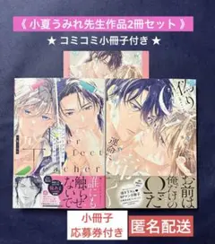 【コミコミ小冊子付き】アンパーフェクト・ティーチャー　偽りΩは運命に啼く
