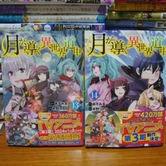 月が導く異世界道中 13,14