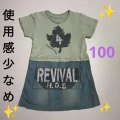 Item thumbnail for item 70a09d1d-62e6-451c-90fd-d84f796c8544