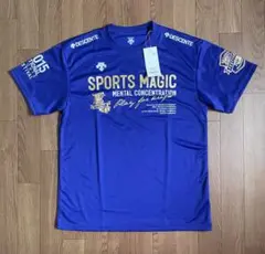 【レア】未使用　和歌山国体2015 記念Tシャツ　L