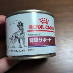 Item thumbnail for item 6a933c07-8fc4-42bb-9540-85062c1d7d2f