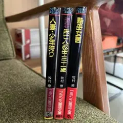 牧村僚フランス書院セット「人妻・少年狩り」「未亡人叔母・三十一歳」「熟母女医」