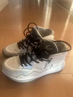 Item thumbnail for item 3fc9c9bb-e8a7-4d0f-b4b9-76be000b150a