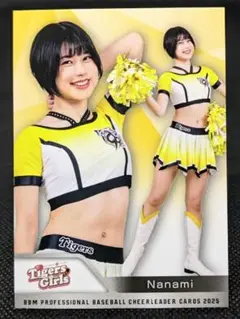 Item thumbnail for item 24947592-d78b-4cc6-bfbd-b9eefa22e648