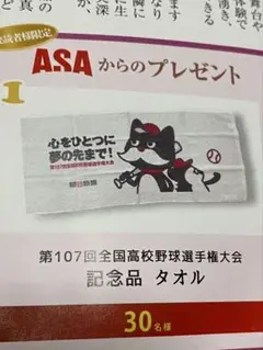 朝日新聞　第107回全国高校野球選手権大会　記念品　タオル　高校野球