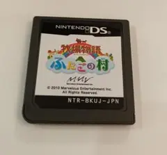 ニンテンドーDSソフト 牧場物語 ふたごの村
