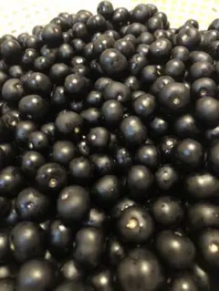 ガーデンハックルベリーたっぷり3.7kg 樹上完熟 無農薬