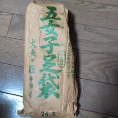 Item thumbnail for item 665770e4-54db-4c32-88bb-5aee6b51bdbe