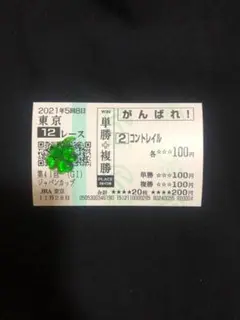 無敗の三冠馬 コントレイル ジャパンカップ ラストラン 現地 がんばれ応援馬券