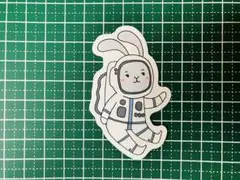 A-49 宇宙飛行士 ウサギ