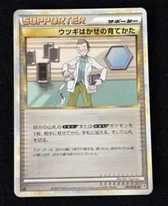 PSA10 ウツギはかせの育てかた ミラー ハートゴールドポケモンカード 鑑定品 Amazon.co.jp: ウツギはかせの育てかた 067/070 L1 ミラー