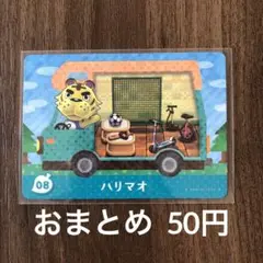 08ハリマオ とびだせどうぶつの森amiibo＋