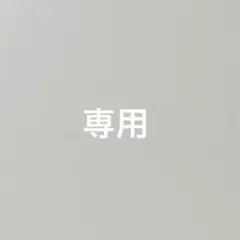 専用ページ　500