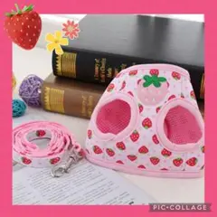 わんちゃんかわいいいちごハーネスセット