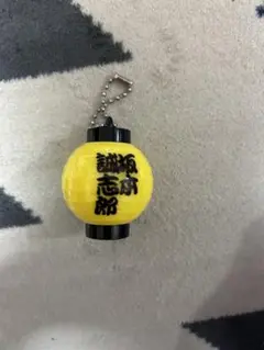 阪神タイガースシークレット提灯　坂本選手