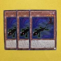 遊戯王 オノマトカゲ 3枚セット