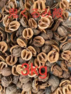 国産鬼くるみ殻　3kg