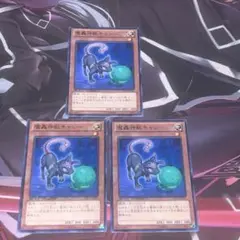 遊戯王 魔神獣キャシー DTC 字レア 3枚セット