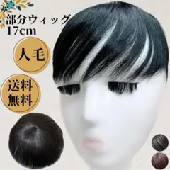 Item thumbnail for item 5d518660-fe6d-4a54-bff1-2c329d21b67c