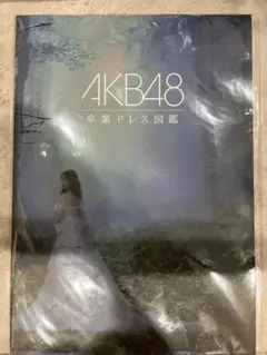 AKB48 卒業ドレス図鑑 オサレカンパニー 衣装