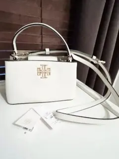 Item thumbnail for item 66308f31-3f76-4370-a139-1ab3823d2e61