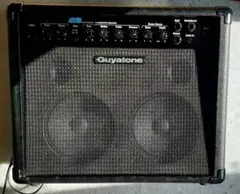 2025年最新】guyatone chorusの人気アイテム - メルカリ