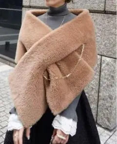 hyeon ted stole camel