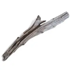 Item thumbnail for item 8753c90f-091d-4f06-96a5-494a061f9a07