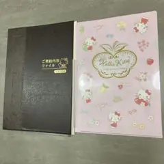 富国生命　ハローキティ　ご契約内容ファイル　非売品　クリアファイル　セット
