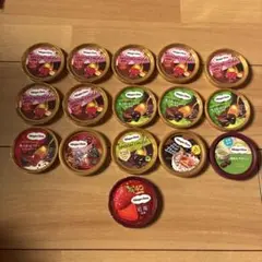 ハーゲンダッツ スプーンクルー 16個セット