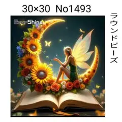 ダイヤモンドアートキット　No1493