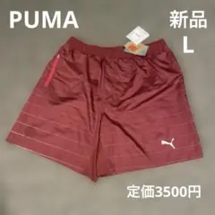 PUMA メンズ　水着　L 紳士